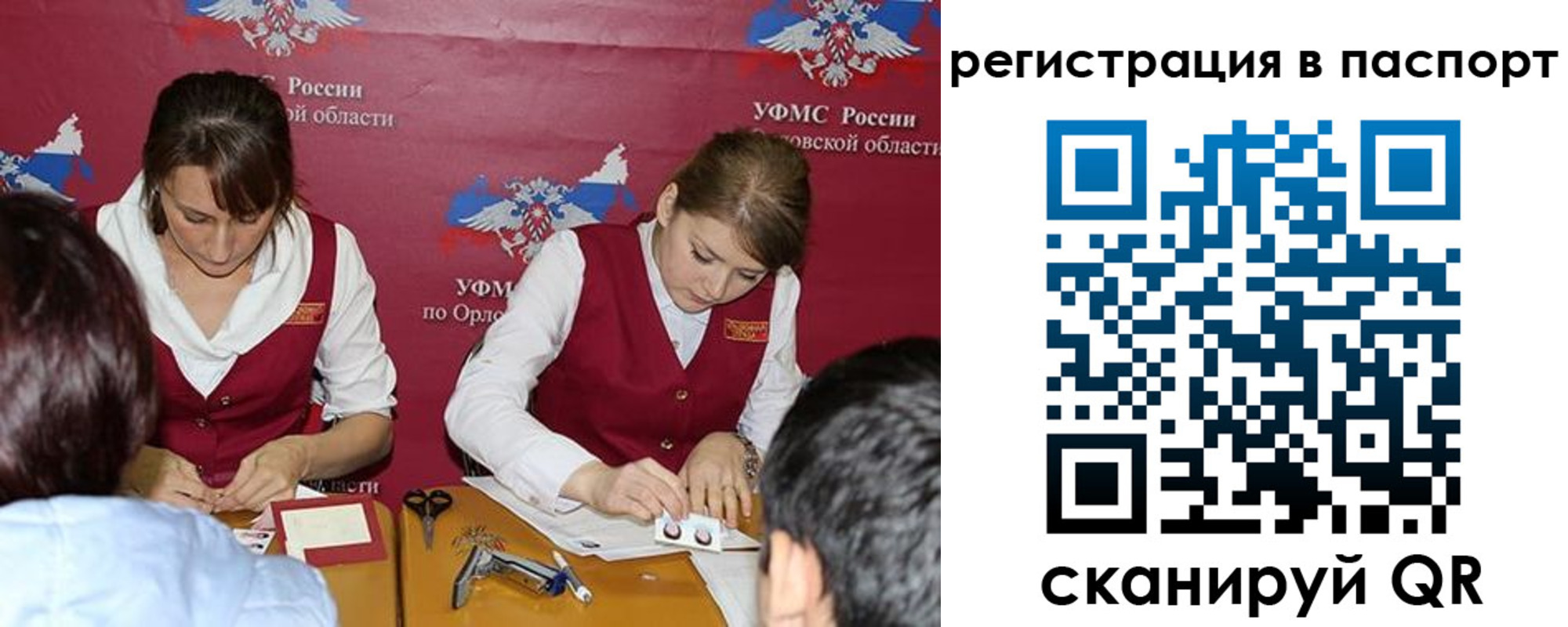 прописка законно в Курске